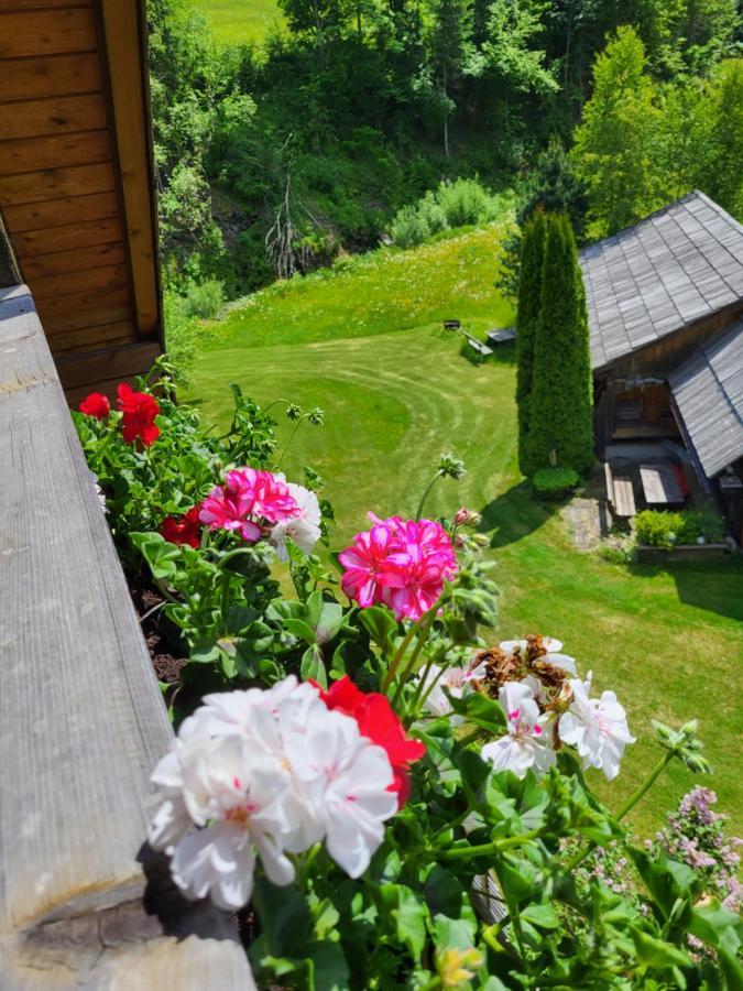 Appartements Hoeller Sankt Lorenzen ob Murau Exterior foto